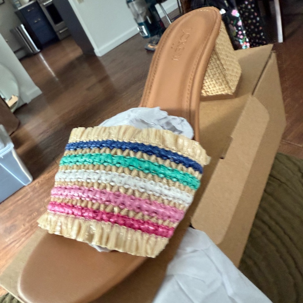 J. Crew Colorful Woven Sandals